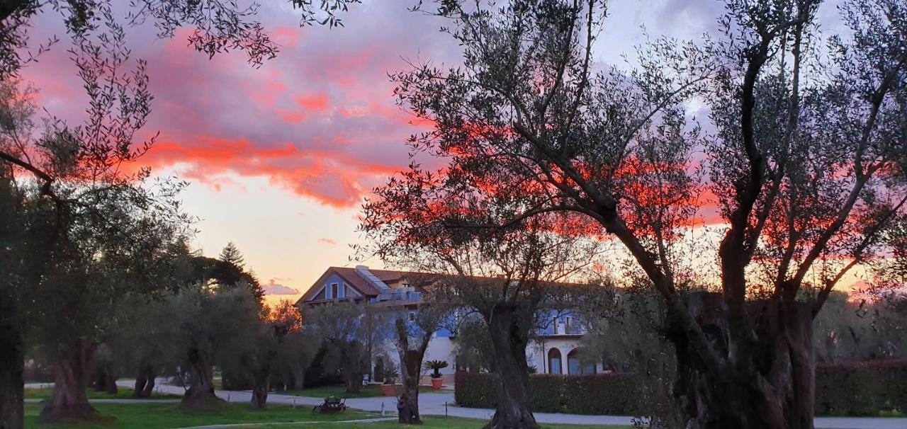 Uliveto Principessa Resort Cittanova  Εξωτερικό φωτογραφία